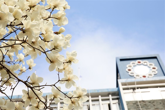 韩国东亚大学2020年艺术类招生简章