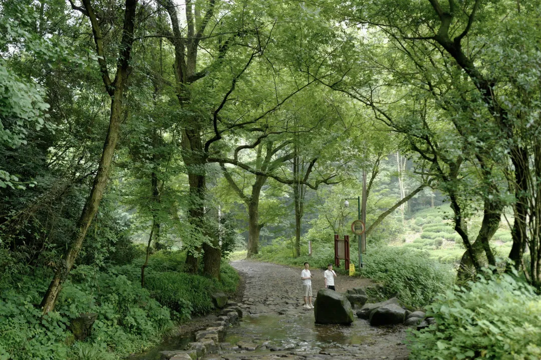 你以为是西湖,并不是真正的西湖