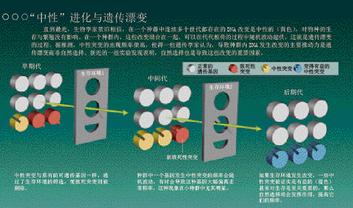 中国人为什么要比欧美人少两块骨头？