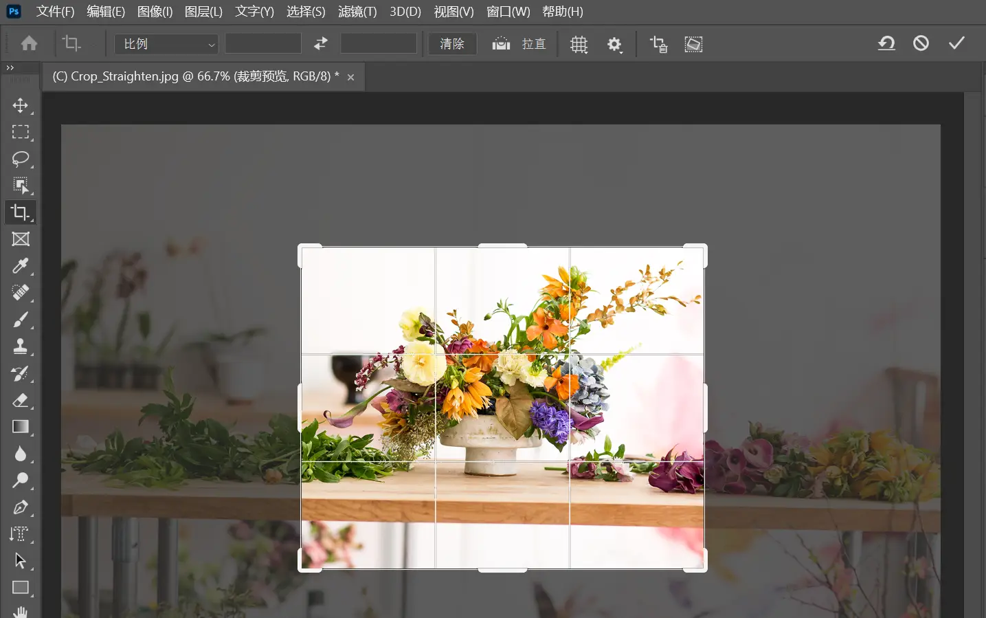 八：一分钟学会PS裁剪和调整图像大小