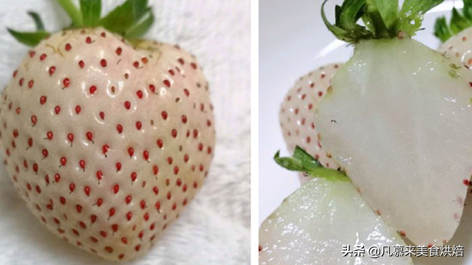 24种常见草莓品种，中国20大草莓产地？哪里的草莓最好吃？