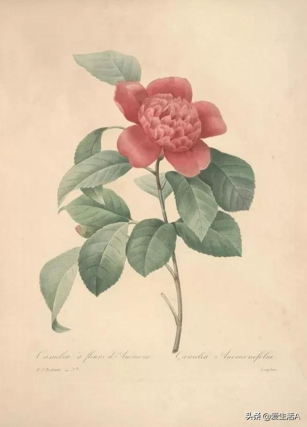 小学语文积累：对联大全，千古绝对集锦（考试会考）