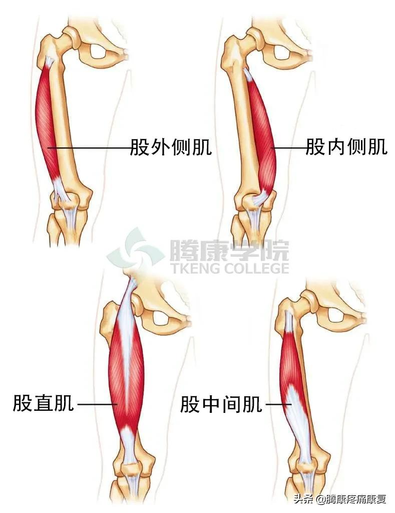 大腿疼痛的原因和治疗原则
