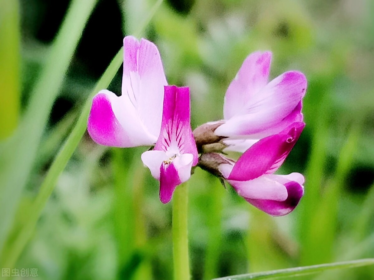 十大最令人惊艳的词牌名有哪些？