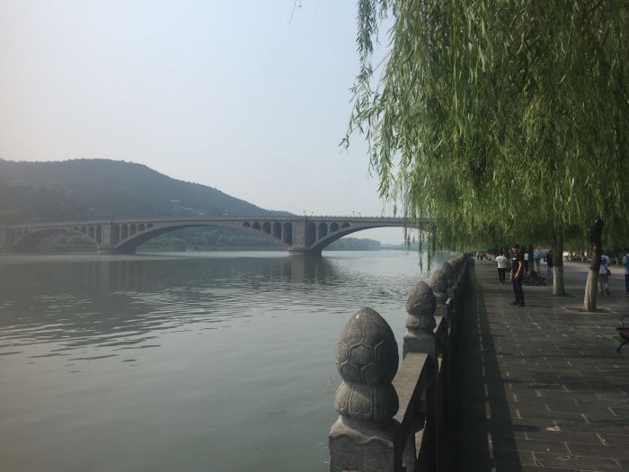 洛阳必游十大景点排行榜：龙门石窟、白马寺、牡丹园等经典景区推荐