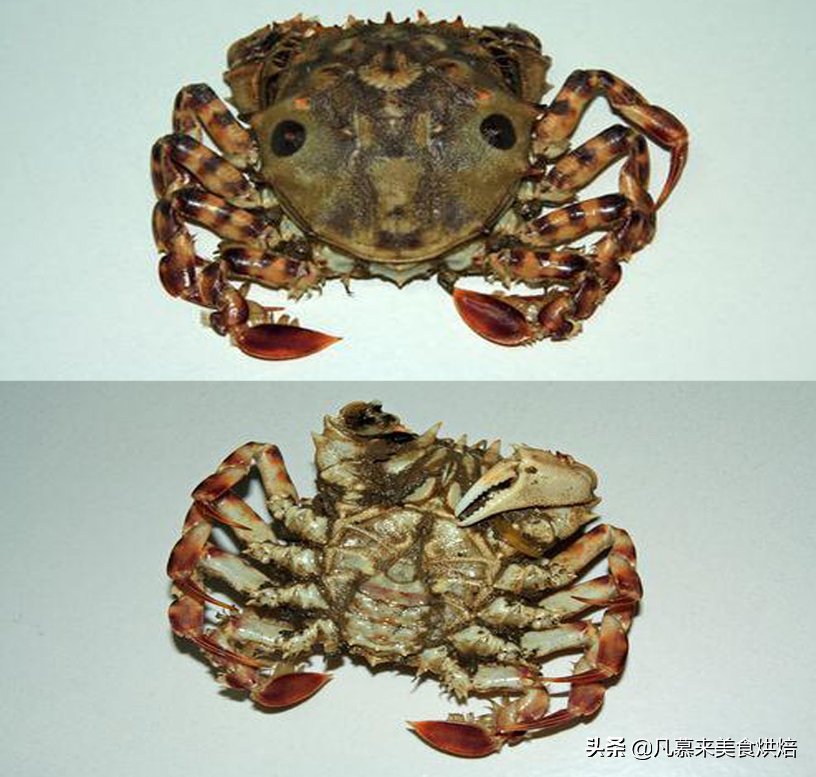 适合送礼的唐山特产（河北唐山有什么特产送人）