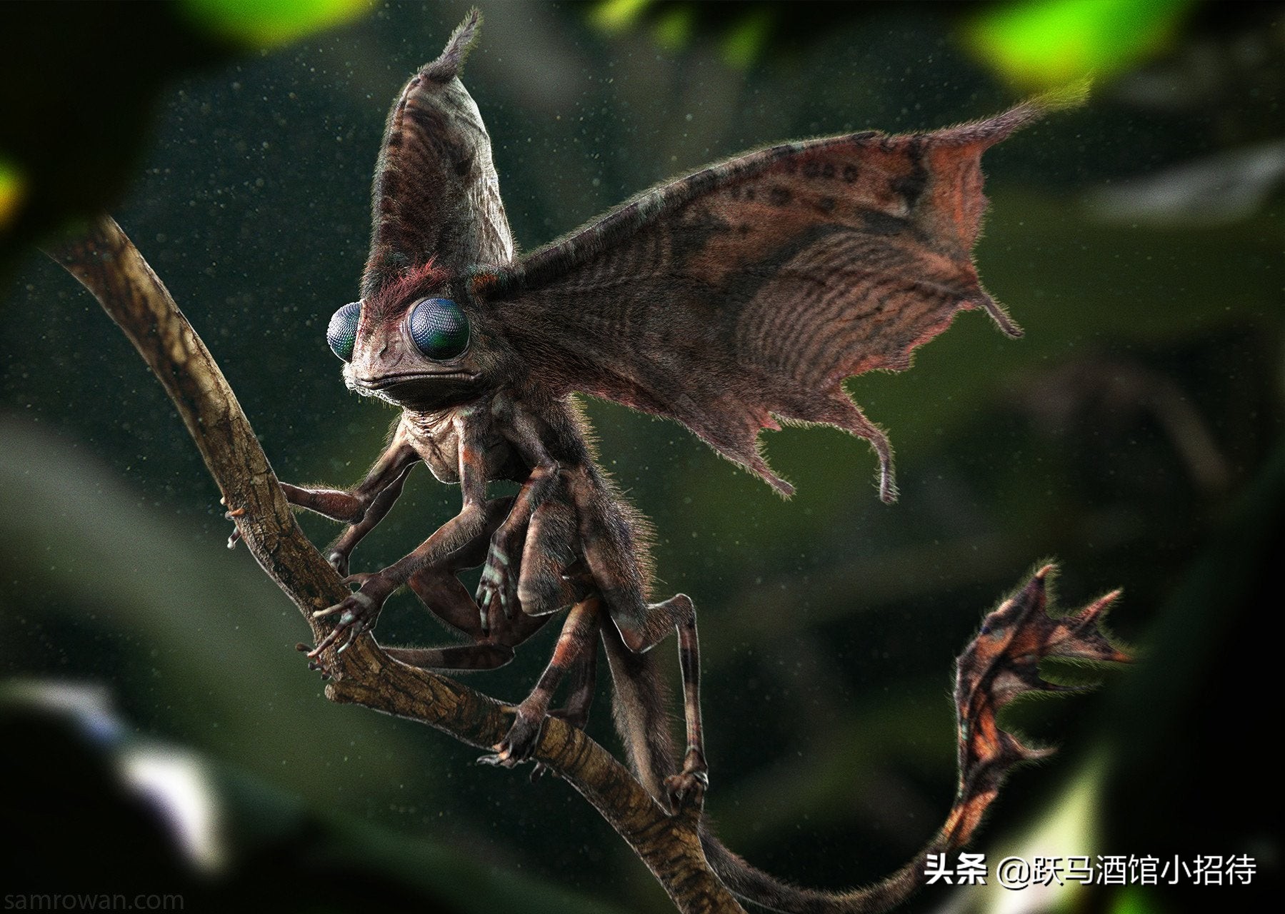 给麻瓜的《神奇动物百科》，魔法世界的动物到底有多神奇（长文）