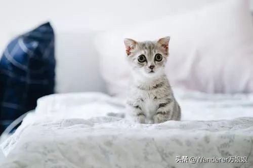 10句特别阳光的英文句子，撑不下去的时候读一读，舒怀很多