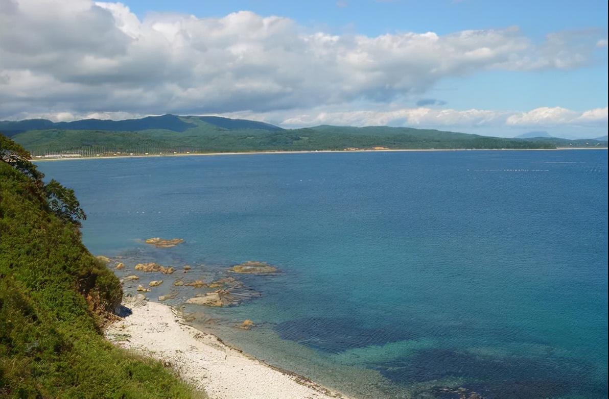 被日军俘虏后，战士亲手枪杀12名同志后自杀，用枪声发出绝密情报