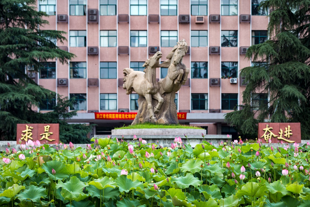 浙江大学权威发布2019年本科招生章程！农学、茶学等六大专业浙江籍学生免学费！