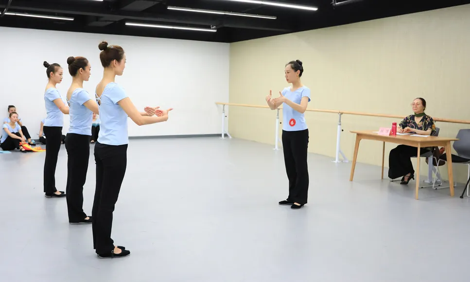 北京地区4-6级海内外高级教师培训精彩呈现