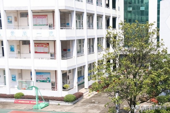 灵溪校园①</p><p>　　嘿！好久不见，甚是想念