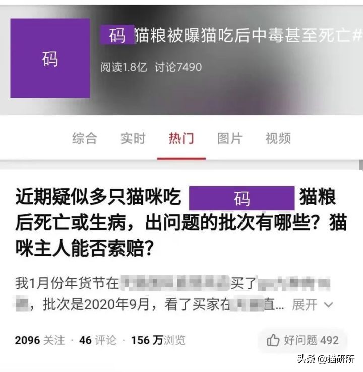 如何买到安全的猫粮？