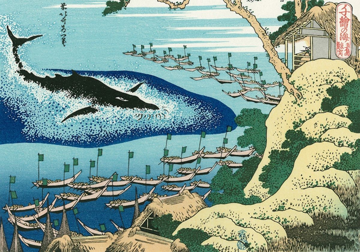 日本人为什么非要捕鲸？就算遭到国际谴责，也不肯收手