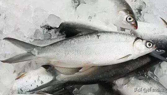 收藏:冷凍魚解凍方法大全,學會6種化凍方法,魚新鮮又好吃!