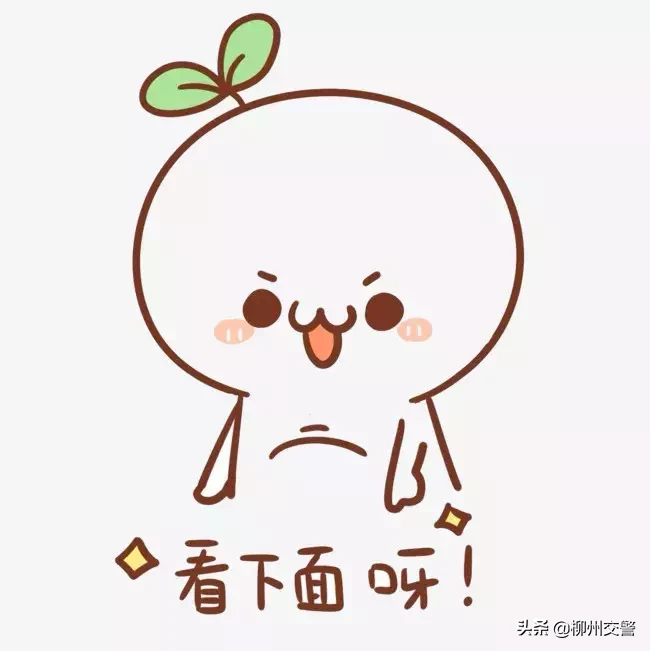 @AB证驾驶人  审验教育详细教程来啦！