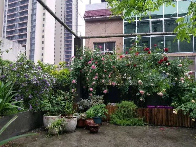 看完68道园艺专业术语，方可知园艺的秘密