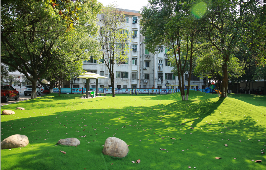 常德芷兰实验学校高考培训中心2021年招生简章