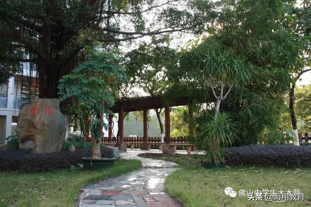 美爆了！佛山8所校园风景大片来袭！哪一间惊艳到你了？