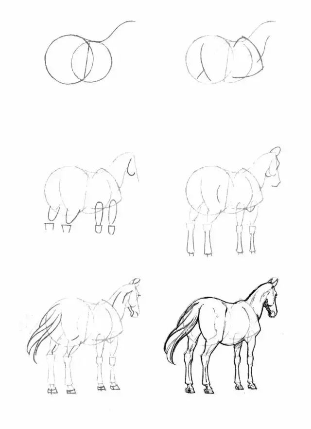马的简笔画(简笔画教程,50个马的画法!