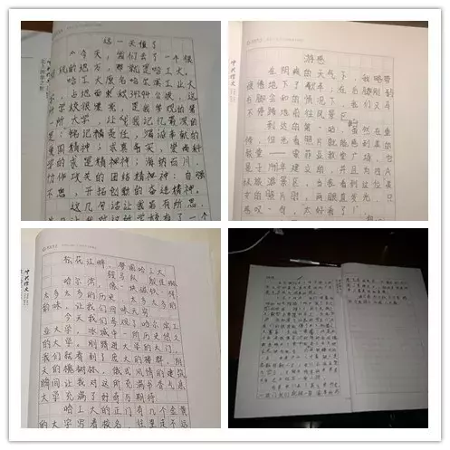 东北游学报名倒计时3天