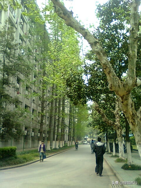 百年名校南京大学一日游，八年前的老照片带你回忆南大