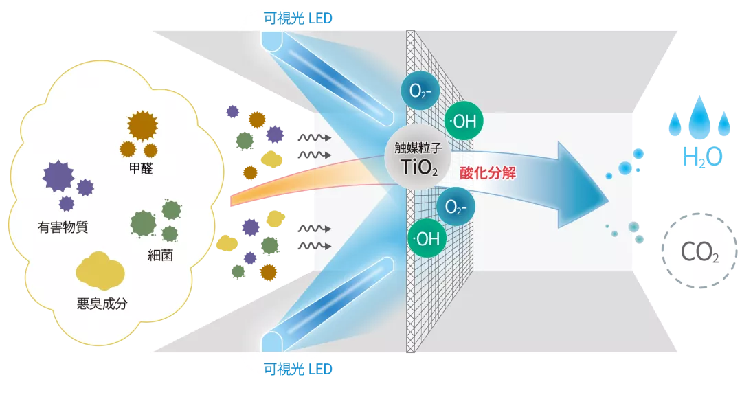 最容易毁掉新家的“毒药”，不是关门窗，而是物理除甲醛的方式