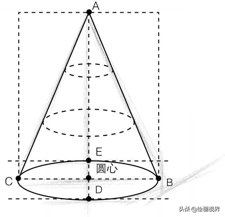 圆锥体是典型的圆形透视形体,从底面开始视平线逐渐变高,圆面逐渐变小