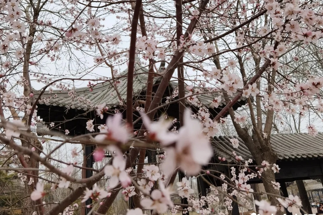 天津清明节出行十大景点盘点，这个假期有的玩了