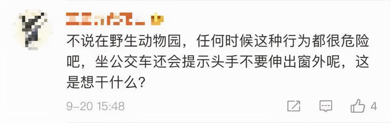 动物园老虎咬人,北京野生动物园老虎咬人