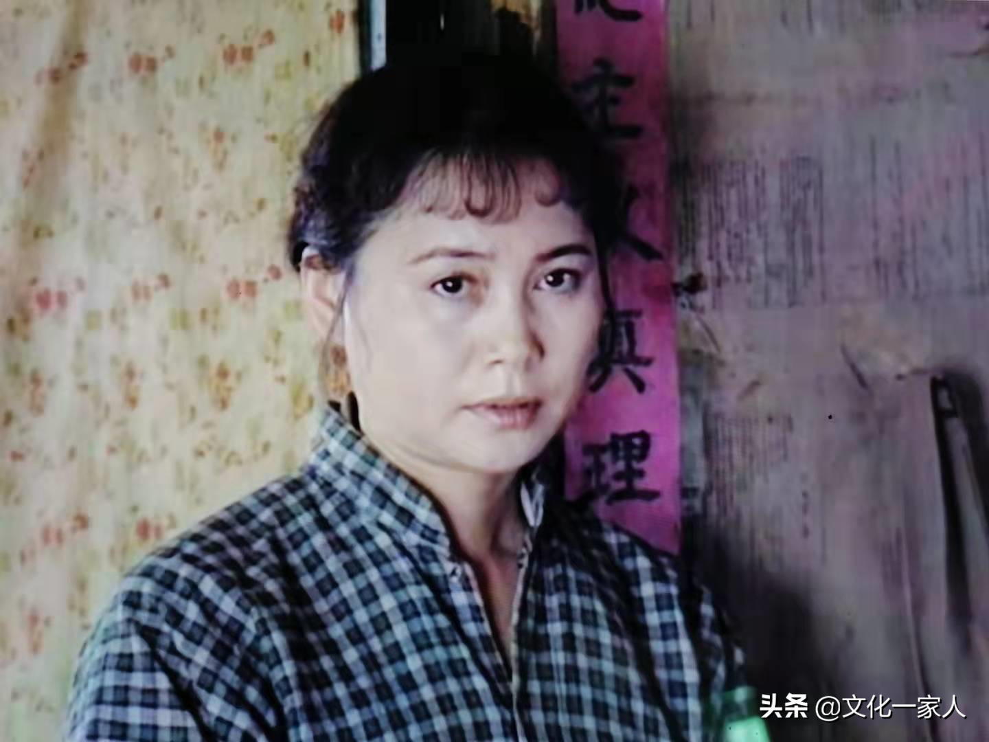 七嫂——世上最美的女人