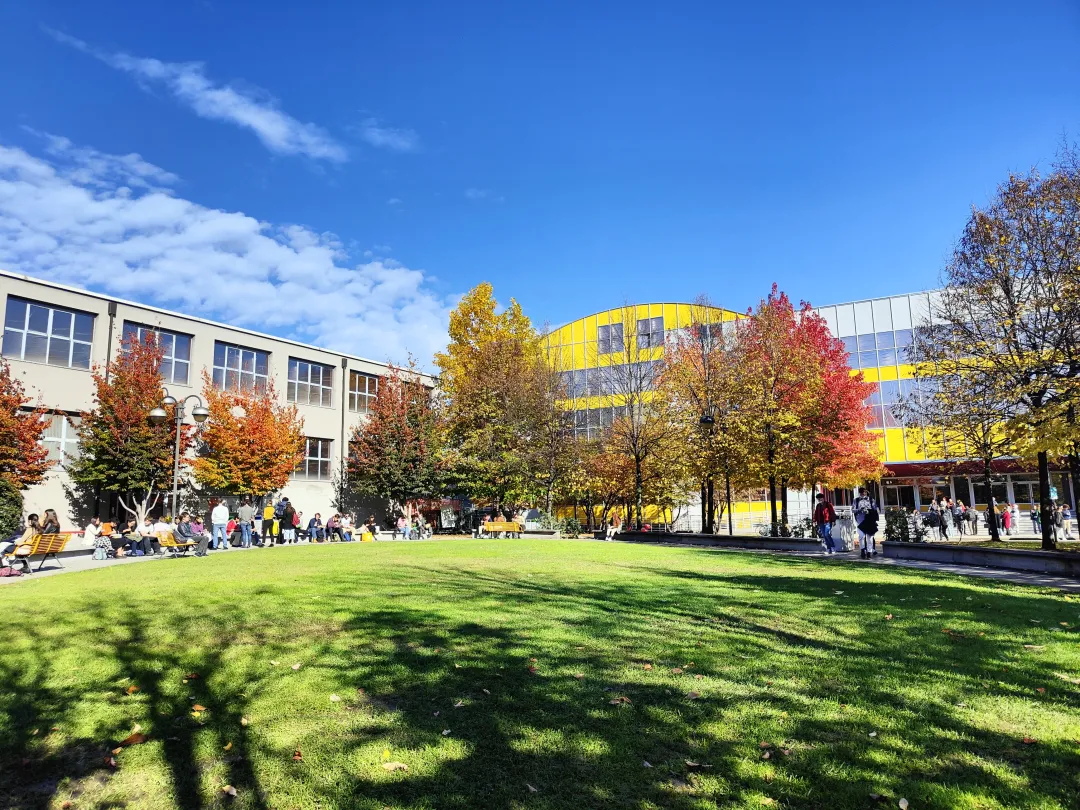 我来米理一个月，已经被老师搞哭了