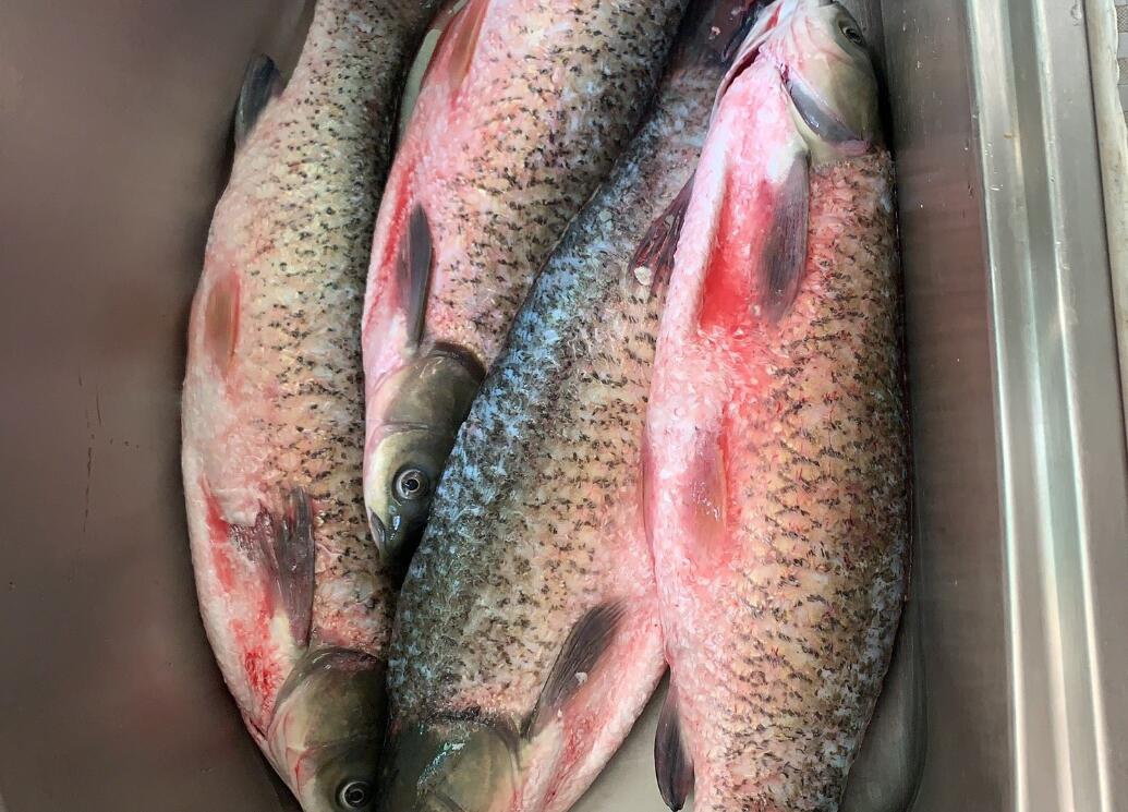 臘肉、臘腸、臘魚、臘鴨，花錢學的配方，免費給你，建議收藏備用