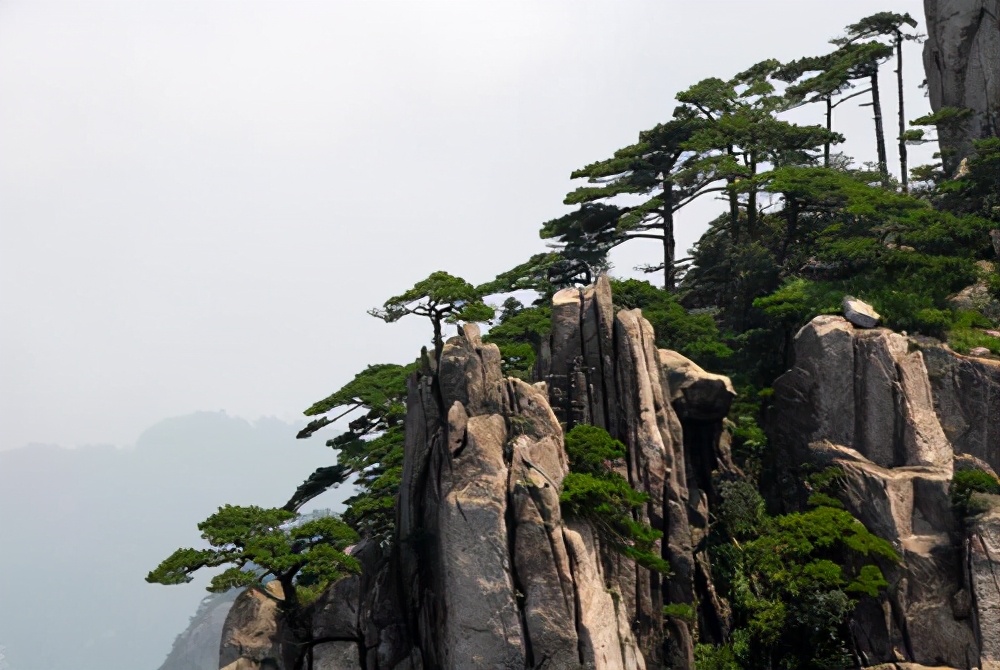 天下事有难易乎---2021高考全国卷II作文例文