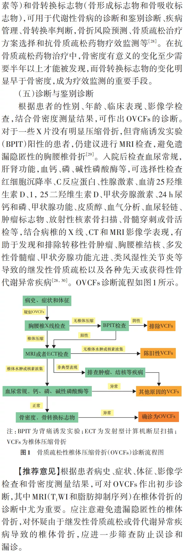 骨质疏松性椎体压缩骨折诊治专家共识（2021版）