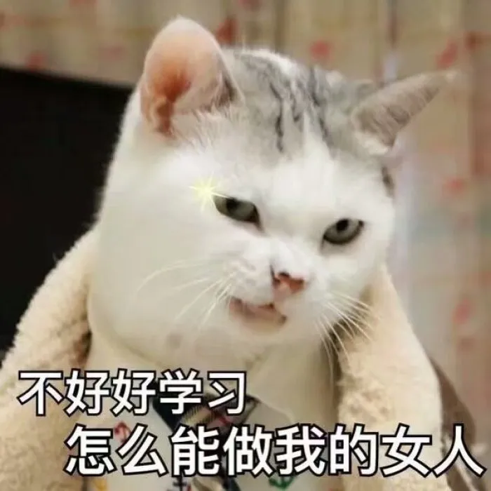 怎么教猫用猫砂上厕所（新手铲屎官必看的方法）