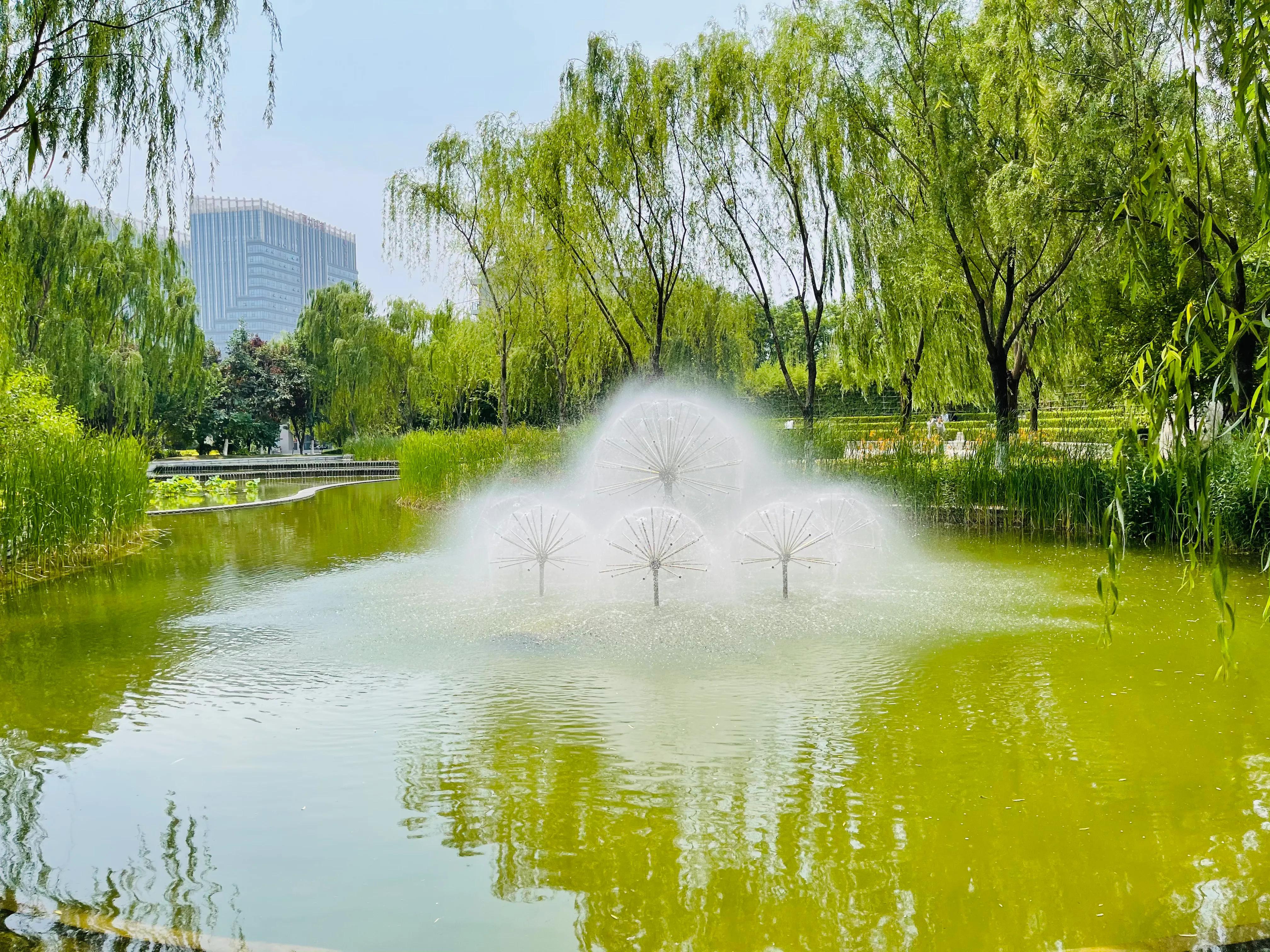 河北师大—惠泉