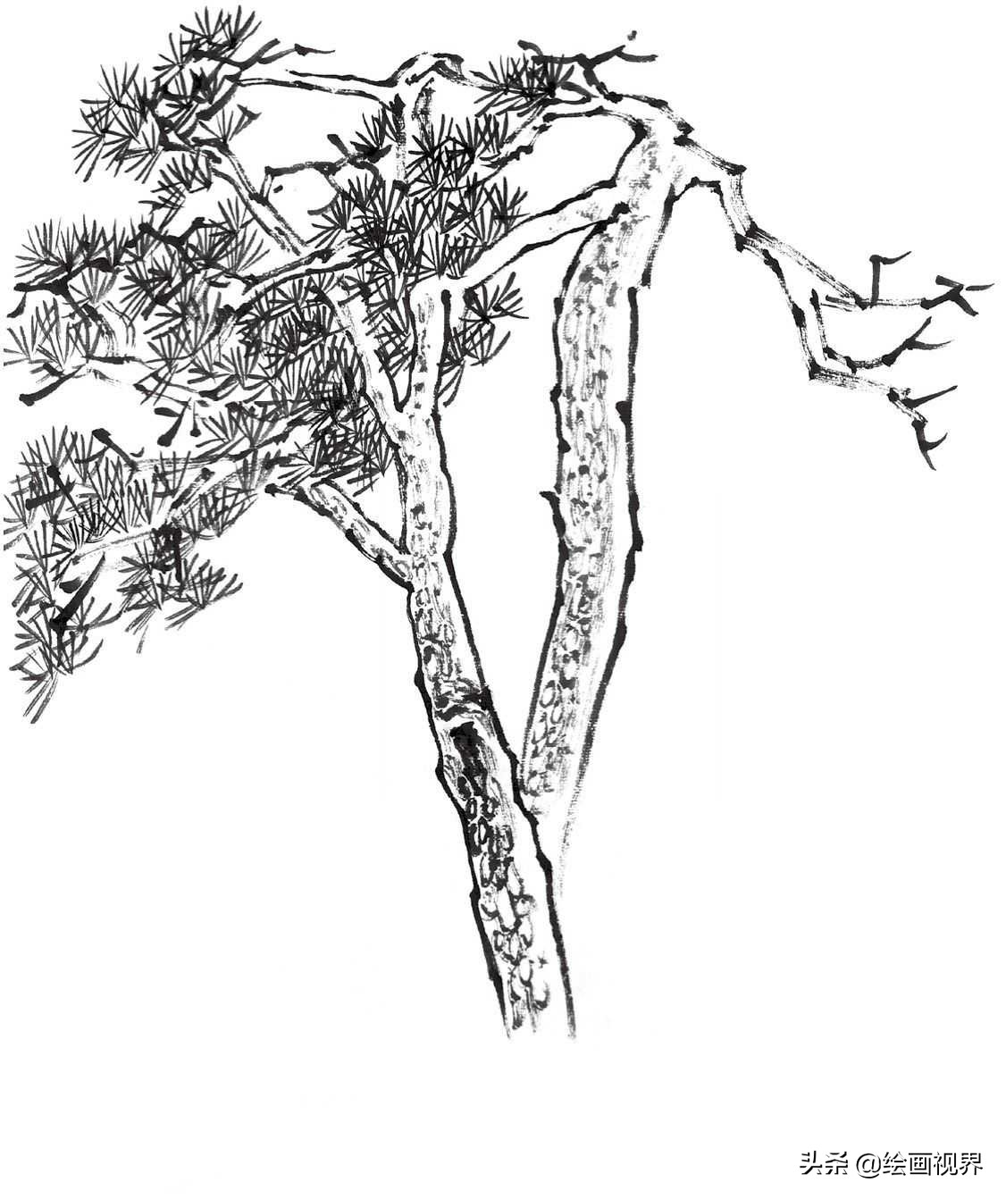 画国画树不会画？教你常见树的画法，简单易学，收藏起来临摹学习