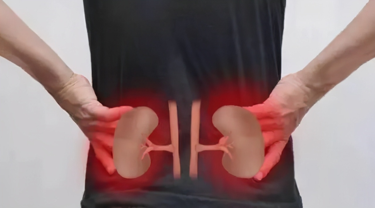 从结构上来说:肾位于人体腹腔腰部,脊柱两旁,左右各一,就是刚刚说的那