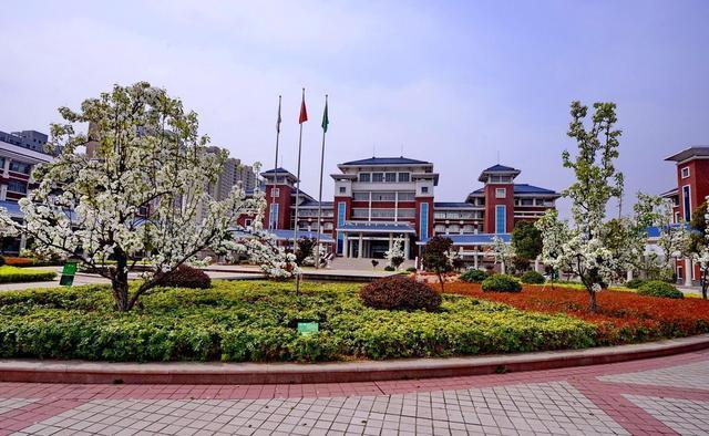 2020高考枣庄三中滕州一中都有学生挺进省前3，谁是你心中最好的