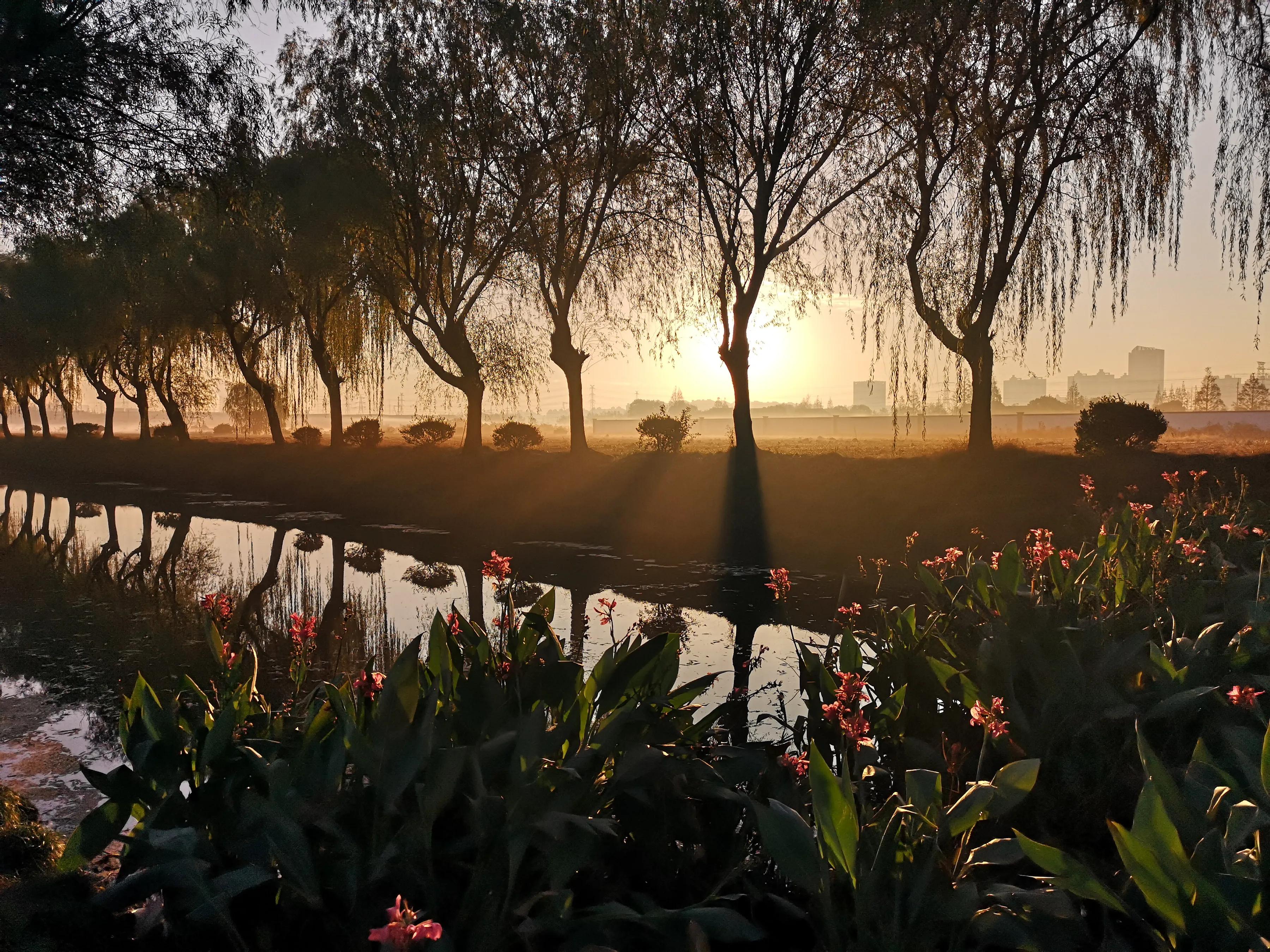 手拍世界（手机摄影平台）-群员作品集（总第733期）