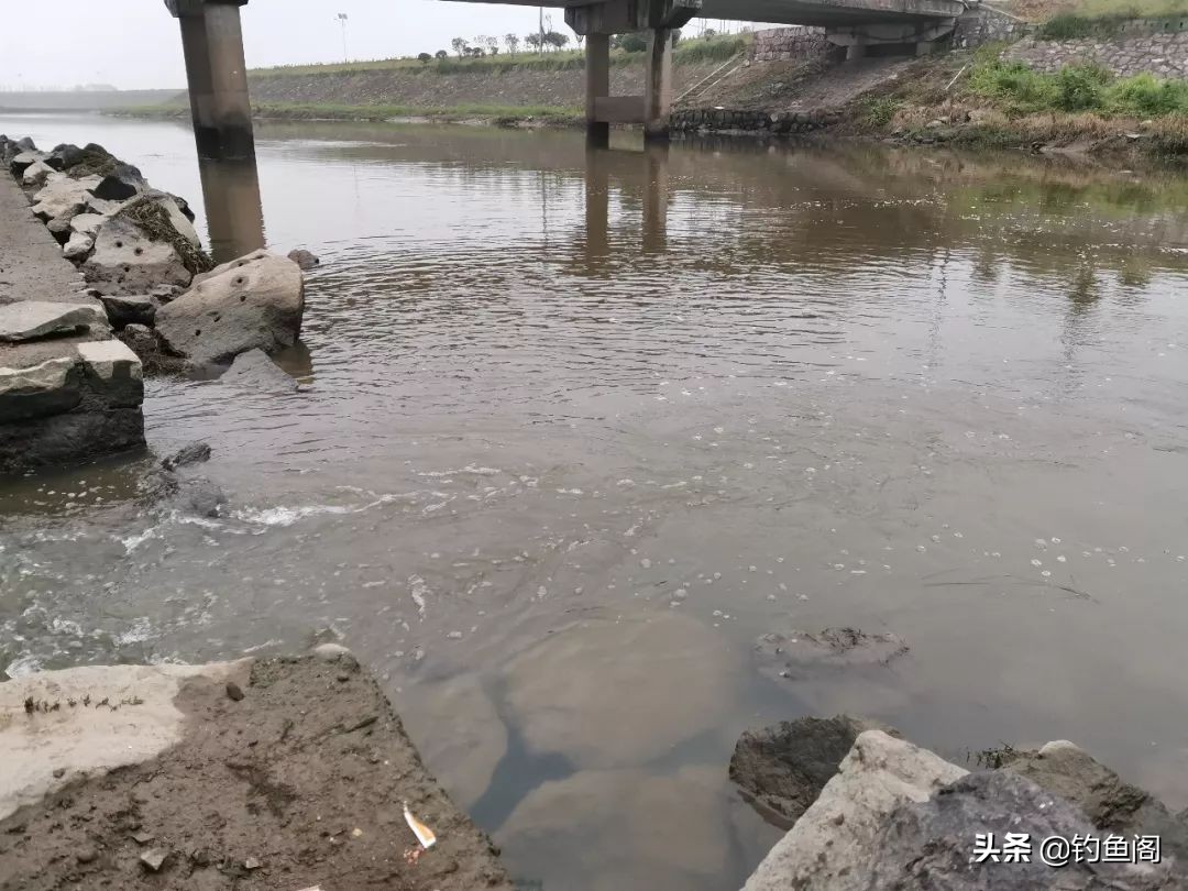 鳜鱼什么季节好钓（牢记两大选位标准与三个核心钓法）