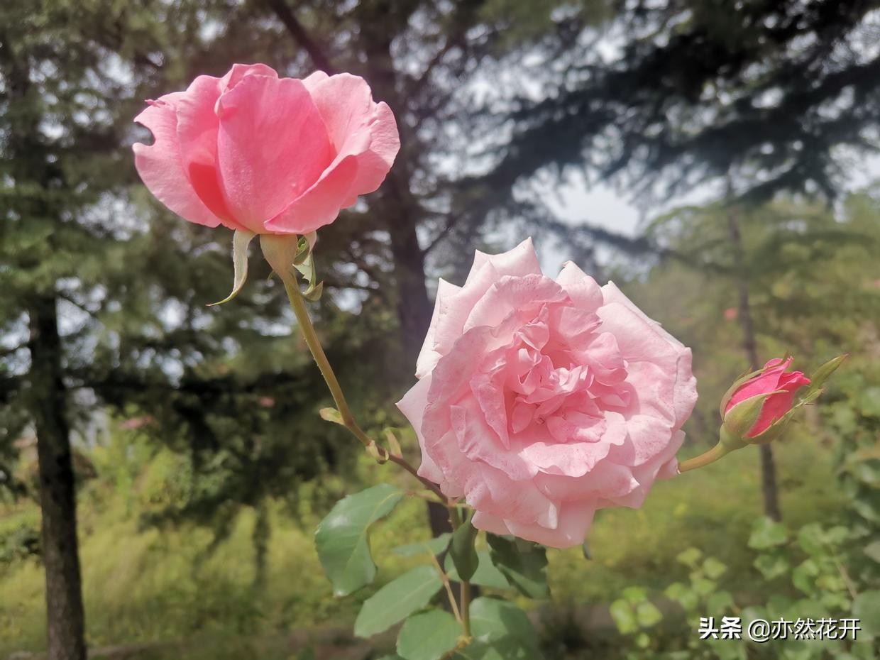 掌握写作技巧：如何写出精准有力的每一个句子