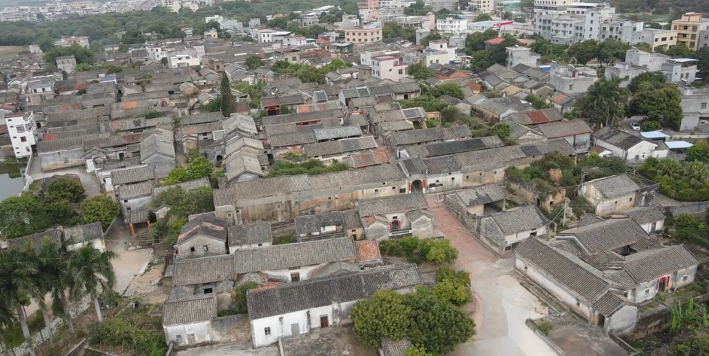 惠州四大家族 -生活知识库-动动脑