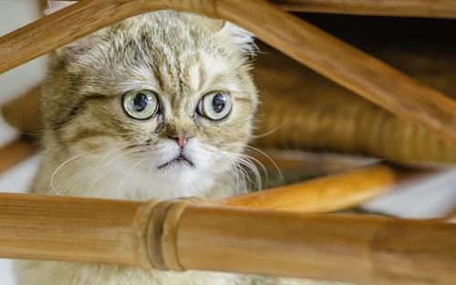 幽默笑话：公司最近为了冲业绩，每天都让我们加班