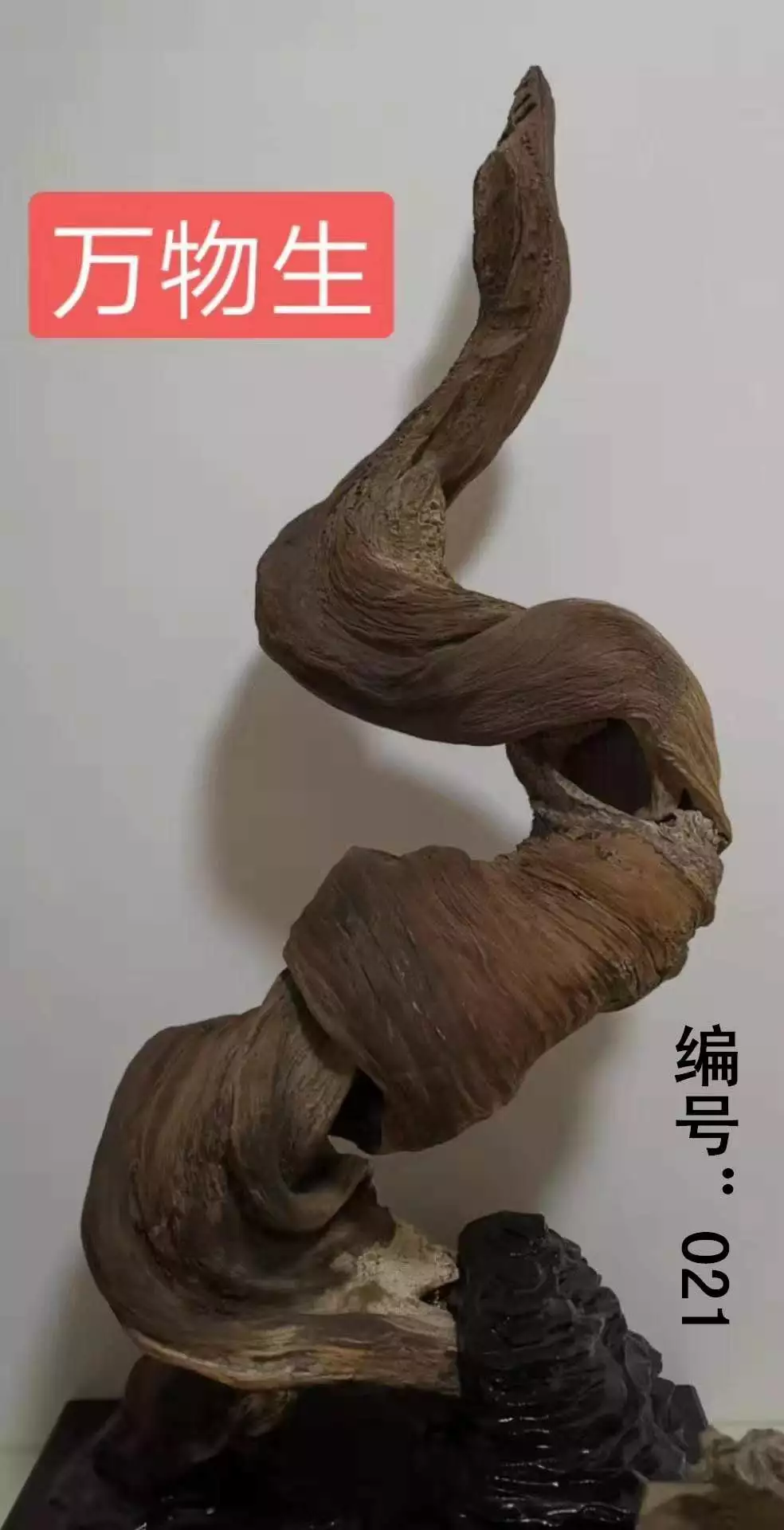 ãååãæ ¹éé¢å¾è¯ï¼åé¦ï¼