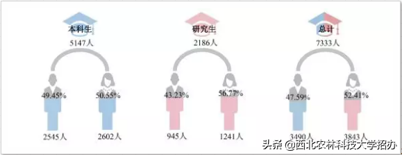 25个专业就业率100%，世界500强都来