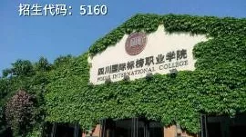 大成都地区的优质高职院校推荐,2020年单招不能错过!