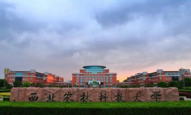 学校有何热门专业？优秀考生有奖学金吗？18所双一流高校答复！