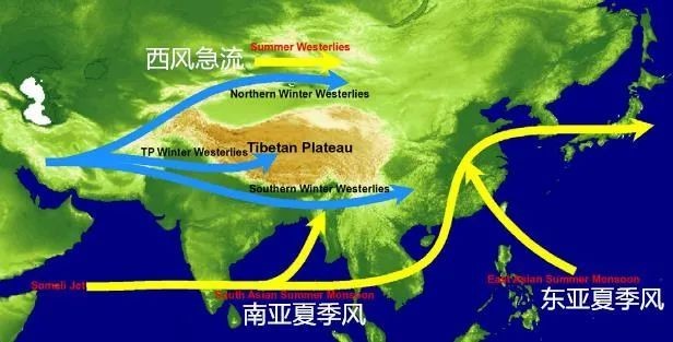 中国降水北迁，北京首次发现罕见尖帽草，北方会变成南方吗？